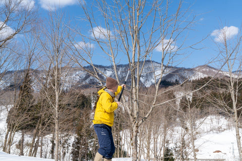 森で描く!新たな「シナオリのシナリオ」。
