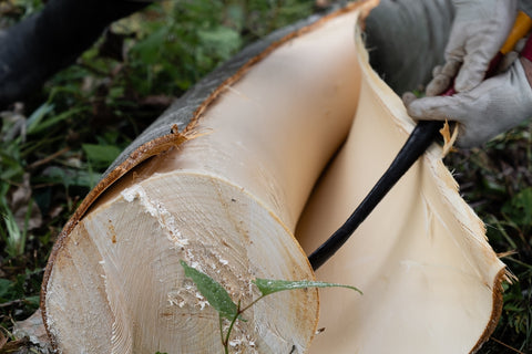 【縄文薫る暮らしのアイテム】しな織の歯ブラシカバー