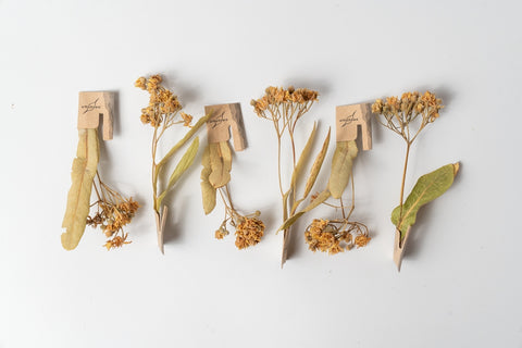 しなの花ティースターターキット