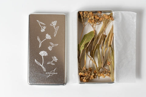 和リンデン_しなの花ハーブティー