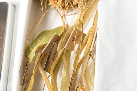 和リンデン_しなの花ハーブティー