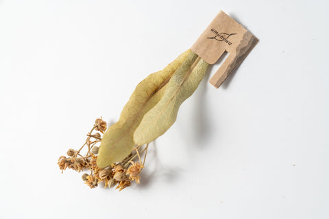 【和リンデンハーブ】しなの花ティー（ホール）